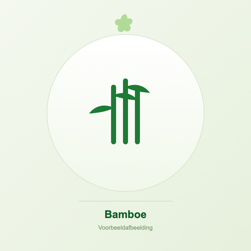 Bamboe kopen bij Tropic Garden