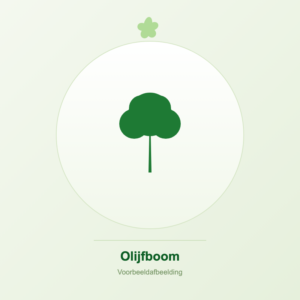Olijfboom voorbeeldafbeelding