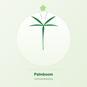 Palmboom voorbeeldafbeelding
