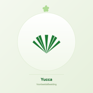 Yucca voorbeeldafbeelding